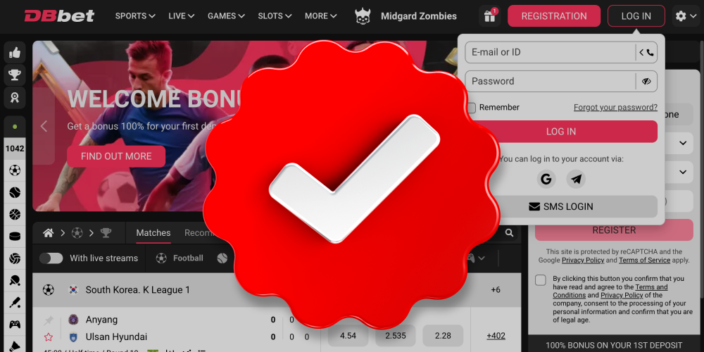 System Verifies Login Credentials