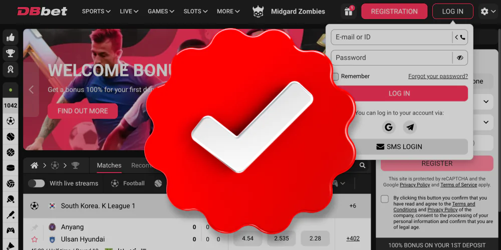 System Verifies Login Credentials