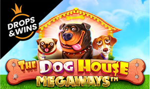 Dog House