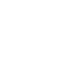 Volleyball Dbbet
